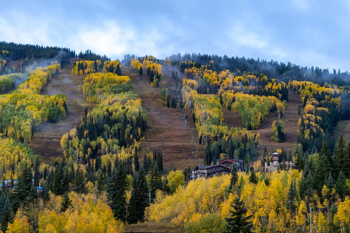 A sweeping view of vibrant autumn trees on the mountainside, with ski lifts and a rustic lodge visible. The scenery transitions between seasons, highlighting recreational opportunities year-round—from hiking and nature walks to winter sports. The inviting natural beauty creates a welcoming atmosphere for families.